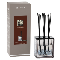 Esteban Classic Teck & Tonka Geurstokjes Triptyque 250 ml