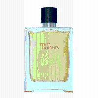 Terre d'Hermes parfum spray 75 ml