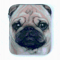 Tablet sleeve Pug