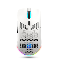 HXSJ T66 Drie modus Gaming Muis 3600DPI 650mAh Massive Battery RGB Light Mice met 6 Macro Programmeerbare Knoppen 2.4G/B