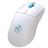 HXSJ T800 Gaming Muis Dual Mode 2.4G+Bedraad 1200 10000dpi Instelbaar 6 Toetsen Oplaadbare Draadloze Gamer Muizen voor C