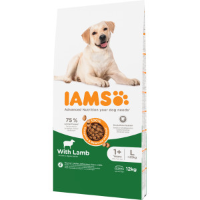Iams Adult Large met lam hondenvoer 12 kg