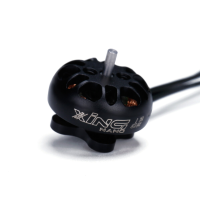 IFlight XING NANO 1202 8000KV / 1000KV 2 3S Brushless Motor voor RC Drone FPV Racing
