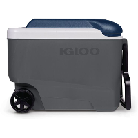 Igloo Maxcold 40R, 38 liter koelbox