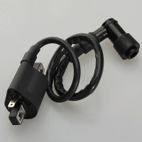 Ignition Coil For Chinese 50cc 125cc Atv Quad Dirt Bike Motorcycle
