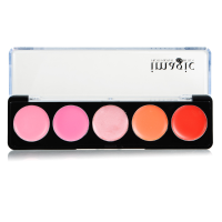 Im 5 Colors Lipstick Lip Gloss Palette