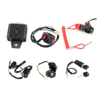 50Cc 70cc 110cc 125cc Bedrading Harnas Spoel Gelijkrichter CDI voor ATV Quad Bike Go Kart