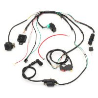 Bekabelingsharnas Loom Solenoïde Spoel Gelijkrichter CDI voor 50cc 70cc 90cc 110cc 125cc ATV Quad Dirt Bike