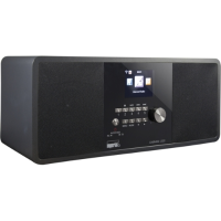DABMAN i250