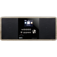 Imp DABMAN i250vintage