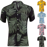 Heren strandoverhemden Hawaiian Holiday Korte mouw Ademend Baggy Fancy Outdoor Camping Hiking Beach