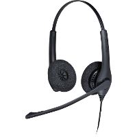 Jabra BIZ 1500 duo QD EMEA