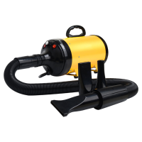 JASE PD 9001 2200W Hondenhaardroger Elektrische Blazer Warme Wind Kattenpootverzorging Elektrische Machine met 3 mondstu