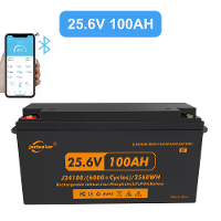 JSDSOLAR 24V 100Ah LiFePo4 Batterijpakket met Bluetooth 8000+ cycli oplaadbare lithium ijzerfosfaatbatterijen voor boot