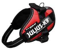 Julius K9 Power Harnas Voor Hond/tuig Voor Voor Labels Rood Mini Mini/40 53cm