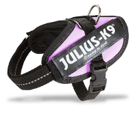 Julius K9 Power Harnas Voor Hond/tuig Voor Voor Labels Roze Maat 0/58 76 Cm