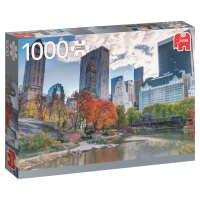 Central Park, New York puzzel