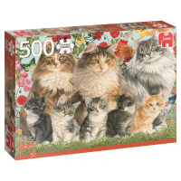 Francien's kattenfamilie puzzel