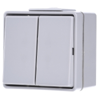 Jung 605W Dubbele schakelaar Compleet WG 600 Grijs 1 stuk(s)