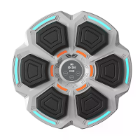 KALOAD Muziek Boksmachine met Bokshandschoenen Muziekweergave Verlichting Bluetooth Aan de Wand Bevestigde Slimme Muziek