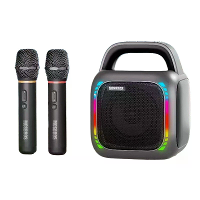 KARABOX 50W bluetooth luidspreker Draagbare karaoke luidspreker met dubbele microfoons 360° HD stereo surround geluid RG