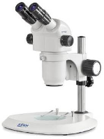 Kern Optics Ozp 556 Stereo Zoom Microscoop Binoculair 55 X Doorvallend Licht, Opvallend Licht