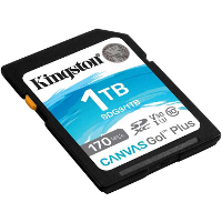 Kingston Canvas Go! Plus SDXC 1 TB geheugenkaart