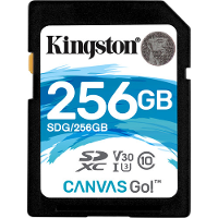 Canvas Go! SDHC 256GB