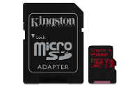 Canvas React microSDXC 256 GB