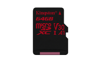 Canvas React microSDXC 64 GB