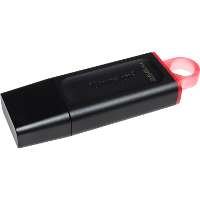 Kingston DataTraveler Exodia 256 GB usb stick