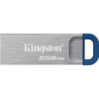 Kingston DataTraveler Kyson USB Flash Drive 256 GB usb stick