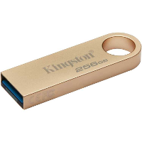 Kingston DataTraveler SE9 G3 256 GB usb stick