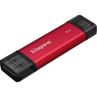 Kingston Dual Portable 1 TB SSD