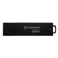Ironkey D300 64 Gb