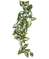 Komodo Borneo Hangende Varen 40 Cm