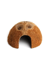 Komodo Coconut Den