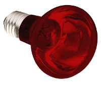 Komodo Infrarood Warmtelamp Es 75 Watt