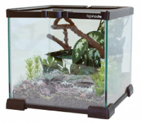 Komodo Nano Habitat Glazen Terrarium 21x21x20 Cm