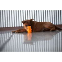 Kong Squeezz Jels Large