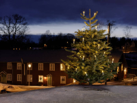 Konstsmide 1014 020 Kerstboomverlichting Buiten Energielabel: LED werkt op het lichtnet 25 LED Warm wit Verlichte lengte: 19.2 M