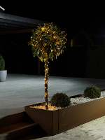 Konstsmide 3641 810 Micro Lichtketting Buiten Werkt Op Het Lichtnet Led Amber Verlichte Lengte: 12.72 M