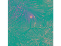 Konstsmide 6544 870 Kerstboomverlichting met app Buiten werkt op het lichtnet LED (Ã©Ã©n kleur) Amber