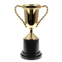 Trofee beker goudkleurig 25 cm