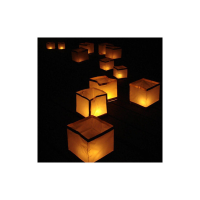 Witte waterlampion 15 x 15 cm