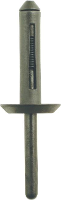 KS Tools 420.5275 Kunststof klinknagel voor Ford, verpakking van 50 stuks