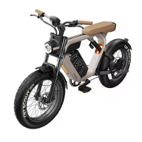 [EU DIRECT] Kuipergordel S1 48V 15AH 250W BAFANG Motor 20 Inch Elektrische Fiets 115 KM Actieradius Max Laadvermogen 150