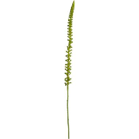 Kunstbloem Donkey Tail Spray   groen   86 cm   Leen Bakker