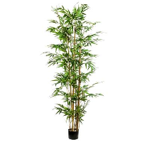 Kunstplant bamboe in pot   175 cm   Leen Bakker