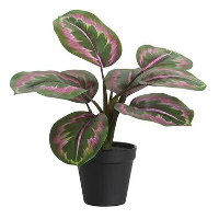Kunstplant Calathea bush in pot   groen/roze   30 cm   Leen Bakker